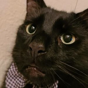 Meet your Posher, Jamie